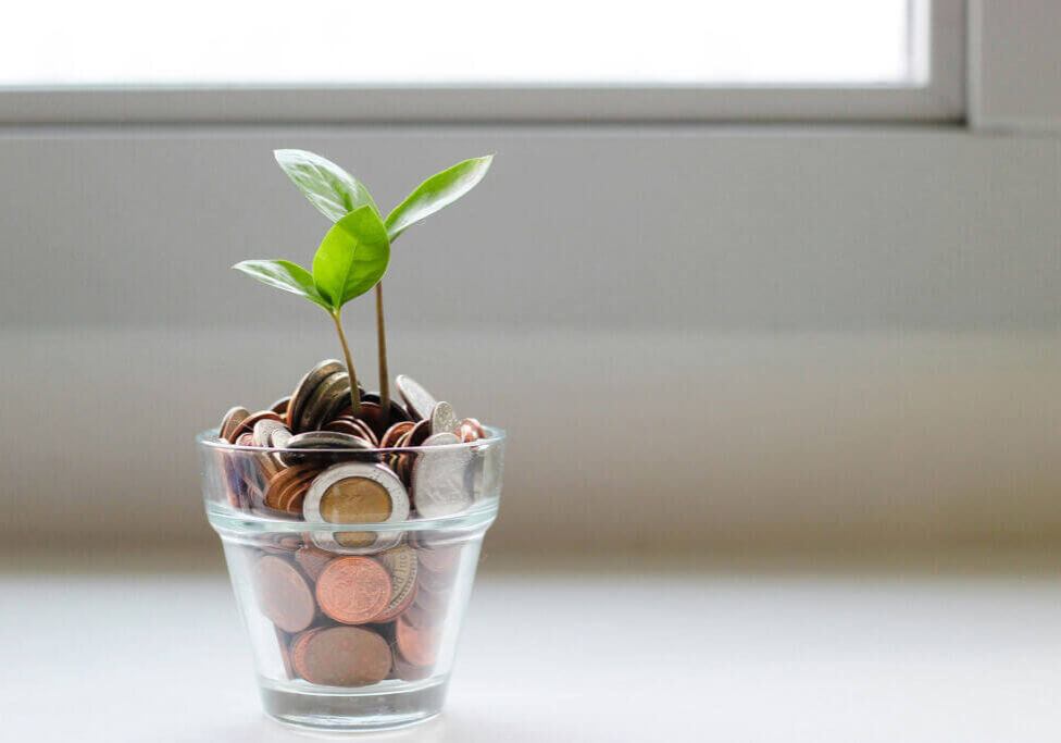 benefits-10 plant growing out of coins