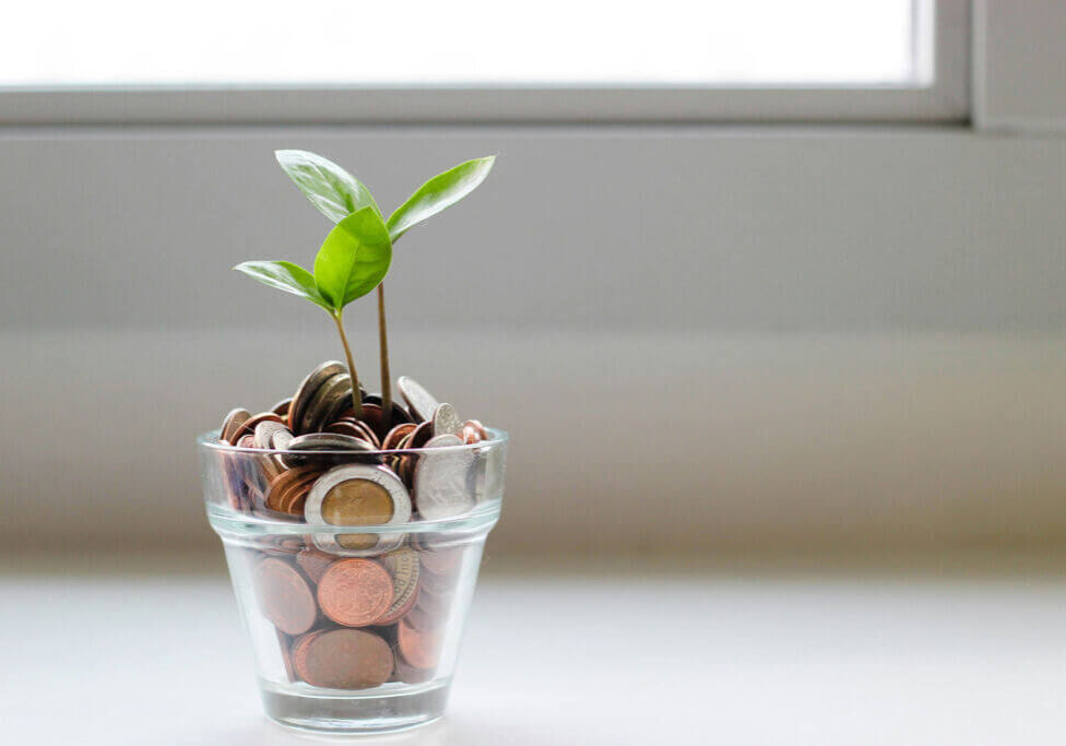 plant growing out of coins
